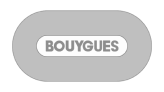 bouygues uses Dalux