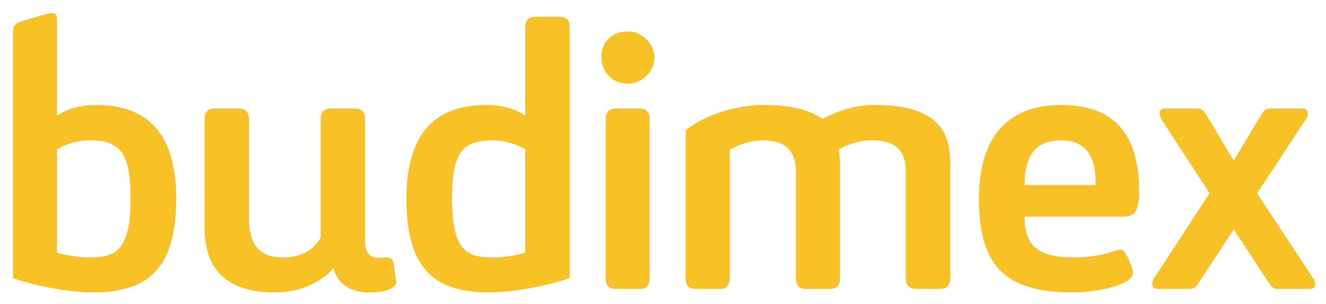 Logo_Budimex