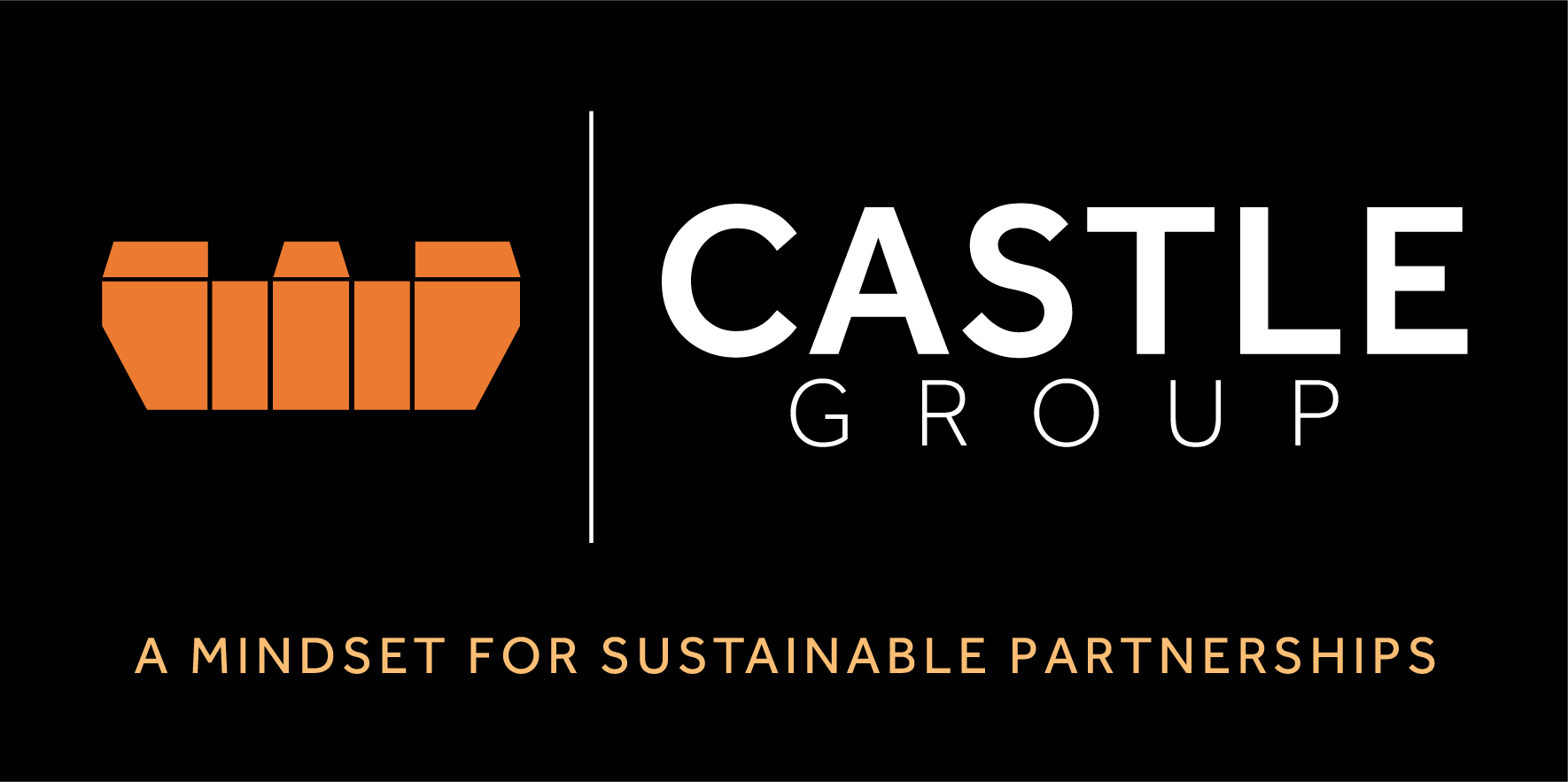 1. Castle Group LS